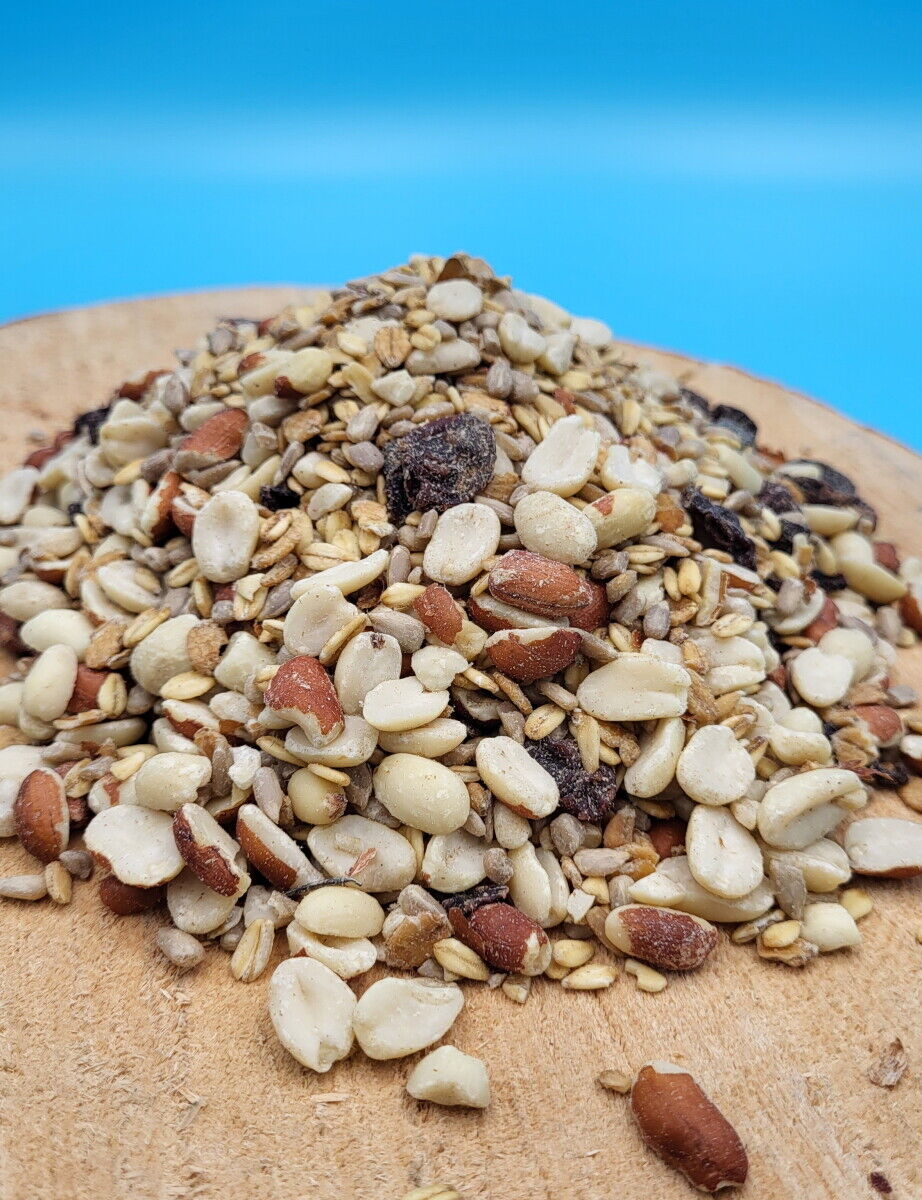 Futterbauer Terrassenmix 10kg schalenloses Vogelfutter Ganzjahresvogelfutter