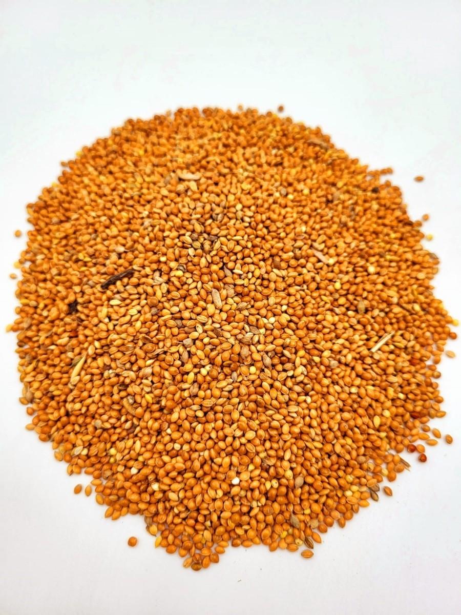 25kg Futterbauer Hirse Vogelfutter Ganzjahresvogelfutter