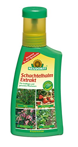 Neudorff Schachtelhalm Extrakt Für Kräftiges Und Gesundes Wachstum Bei Allen Pflanzenarten, 250 Ml