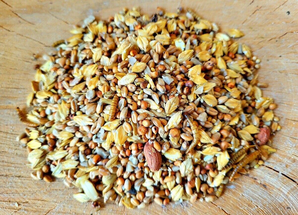 25Kg Schalenloses Streufutter !Mit Mehlwürmern! Vogelfutter Ganzjahresfutter
