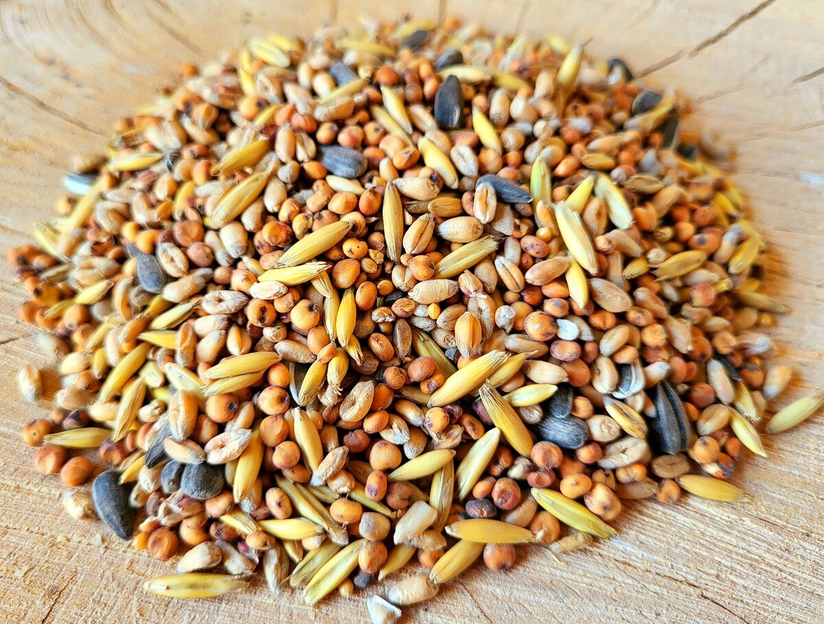 25kg Futterbauer Streufutter Vogelfutter Ganzjahresvogelfutter