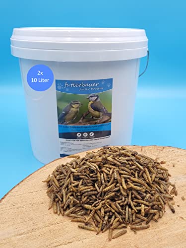 2X10 L Futterbauer Soldatenfliegenlarven Im Eimer