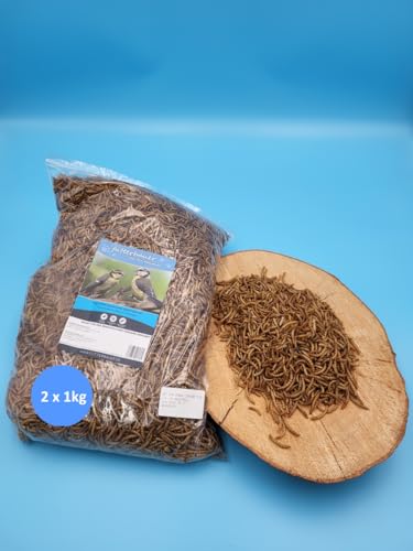 2X 1 Kg Futterbauer Mehlwürmer Vogelfutter Igelfutter Nagerfutter