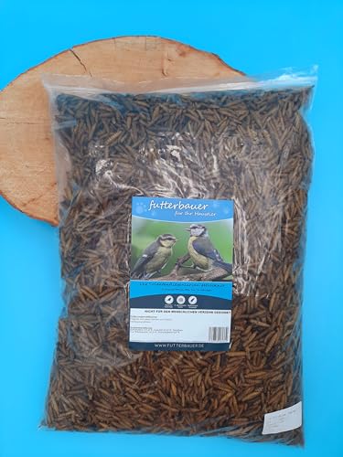 1Kg Futterbauer Soldatenfliegenlarven Vogelfutter Nagerfutter Wie Mehlwürmer