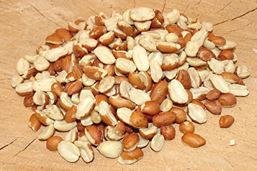 Futterbauer 2X10Kg Erdnusskerne Erdnüsse Teilblanchiert Vogelfutter Ganzjahresvogelfutter